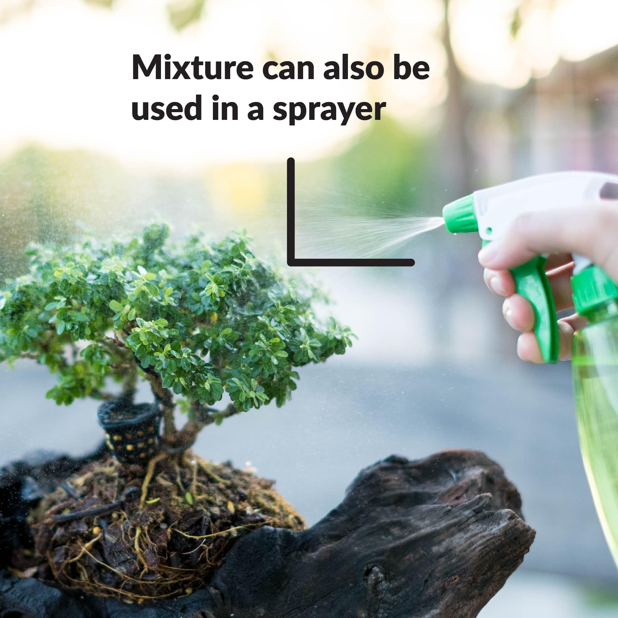 SUPERthrive Bonsai-Pro bonsai collection suggests versatile care for multiple trees