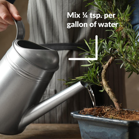 SUPERthrive Bonsai-Pro foliage mist highlights gentle foliar care