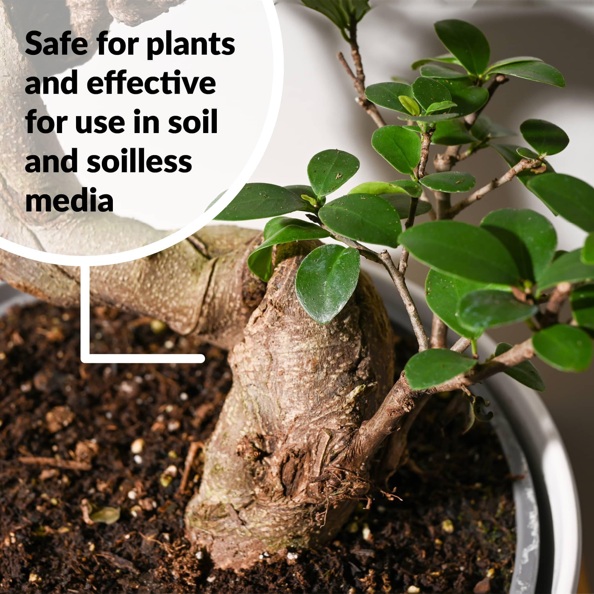 SUPERthrive Bonsai-Pro safe for soil-less media enables versatile use