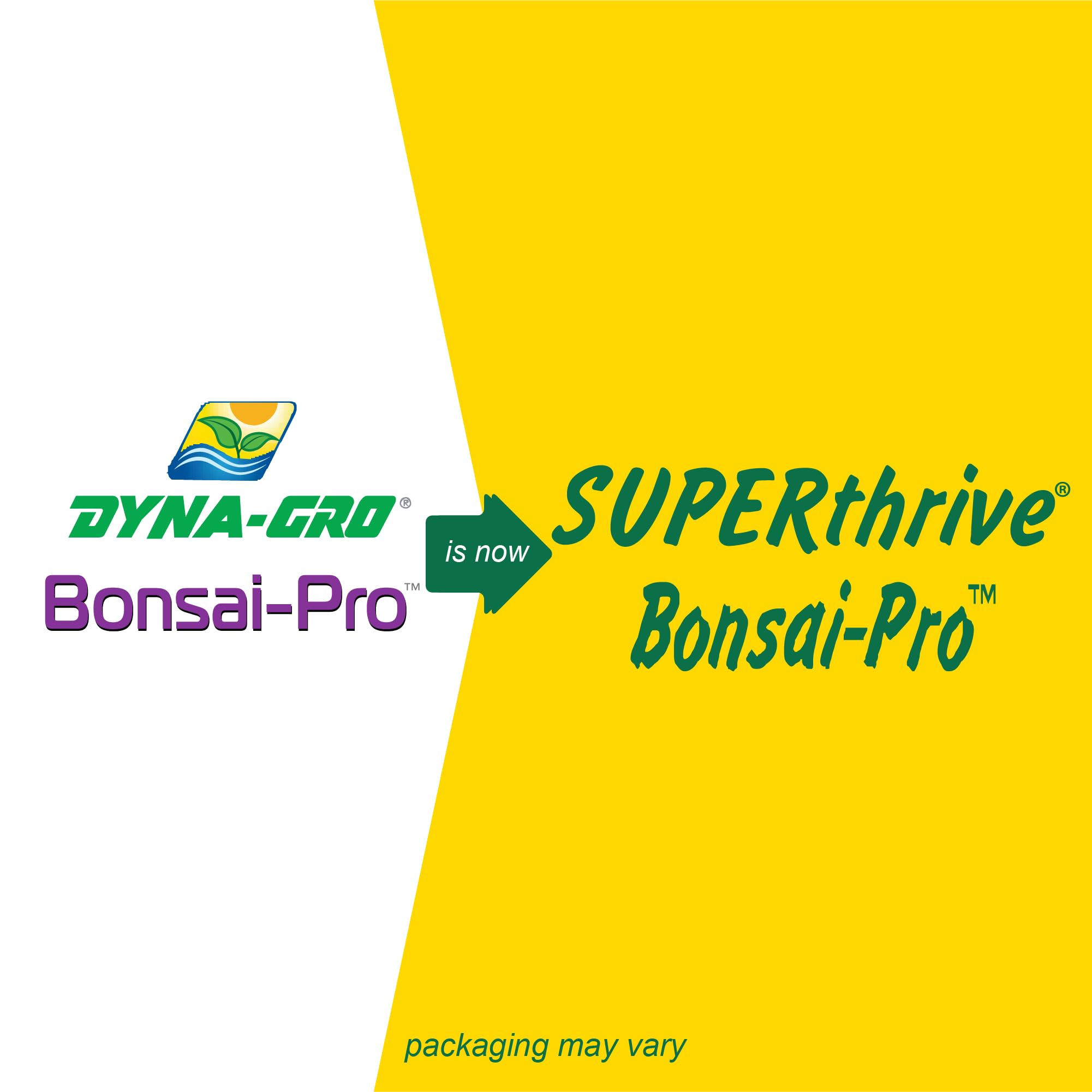 SUPERthrive Bonsai-Pro watering bonsai illustrates steady root feeding