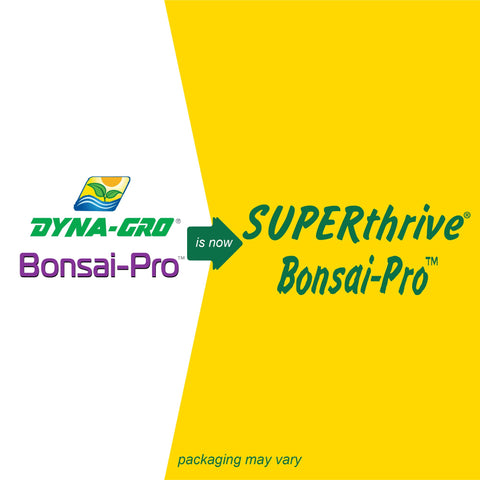SUPERthrive Bonsai-Pro watering bonsai illustrates steady root feeding