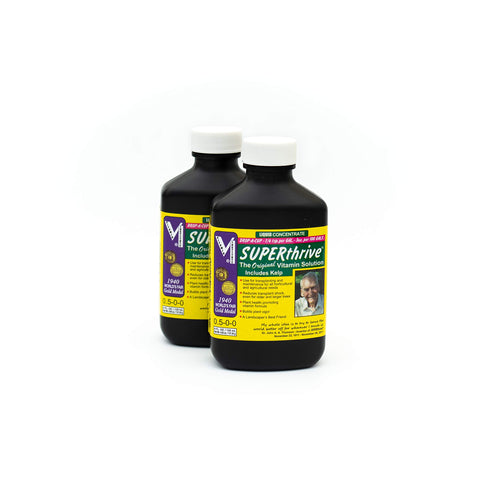 Dilution in a cup of water for indoor plant care with SUPERthrive