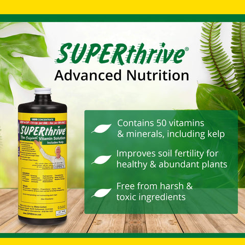 Water droplets added to a cup for indoor plant care with SUPERthrive.