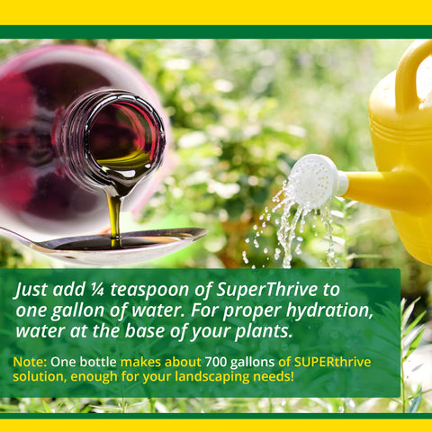 SUPERthrive garden application on blooms and vegetables suggesting healthier growth.
