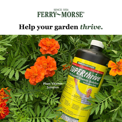 SUPERthrive greenery growth looks more vigorous with regular use