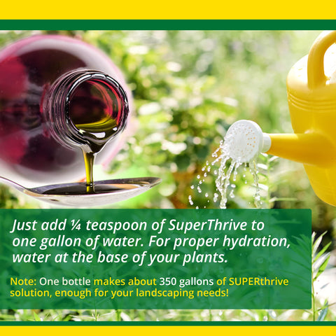 Indoor and outdoor plant care with versatile SUPERthrive use.