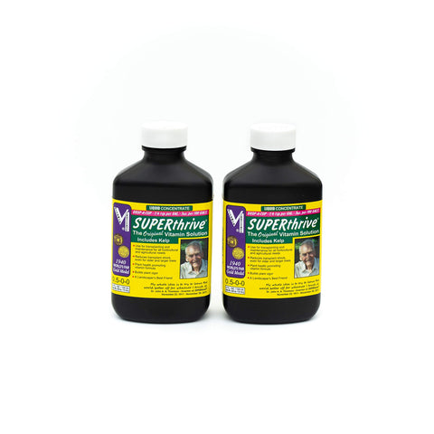 Close-up of kelp ingredient in SUPERthrive formula for plant nutrition
