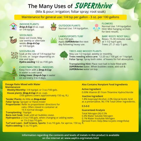 Potted indoor plants benefiting from SUPERthrive application.