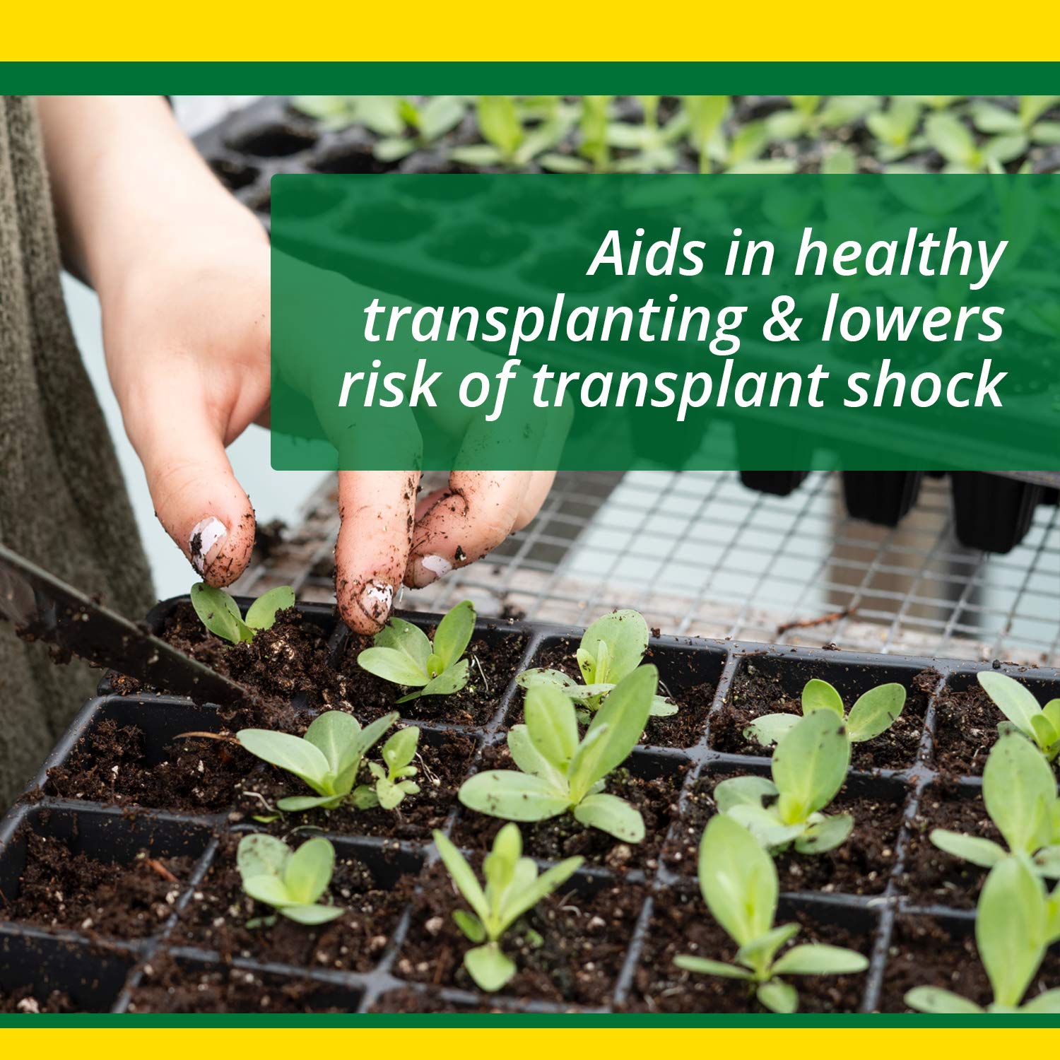 SUPERthrive root development boost promotes stronger roots after repotting