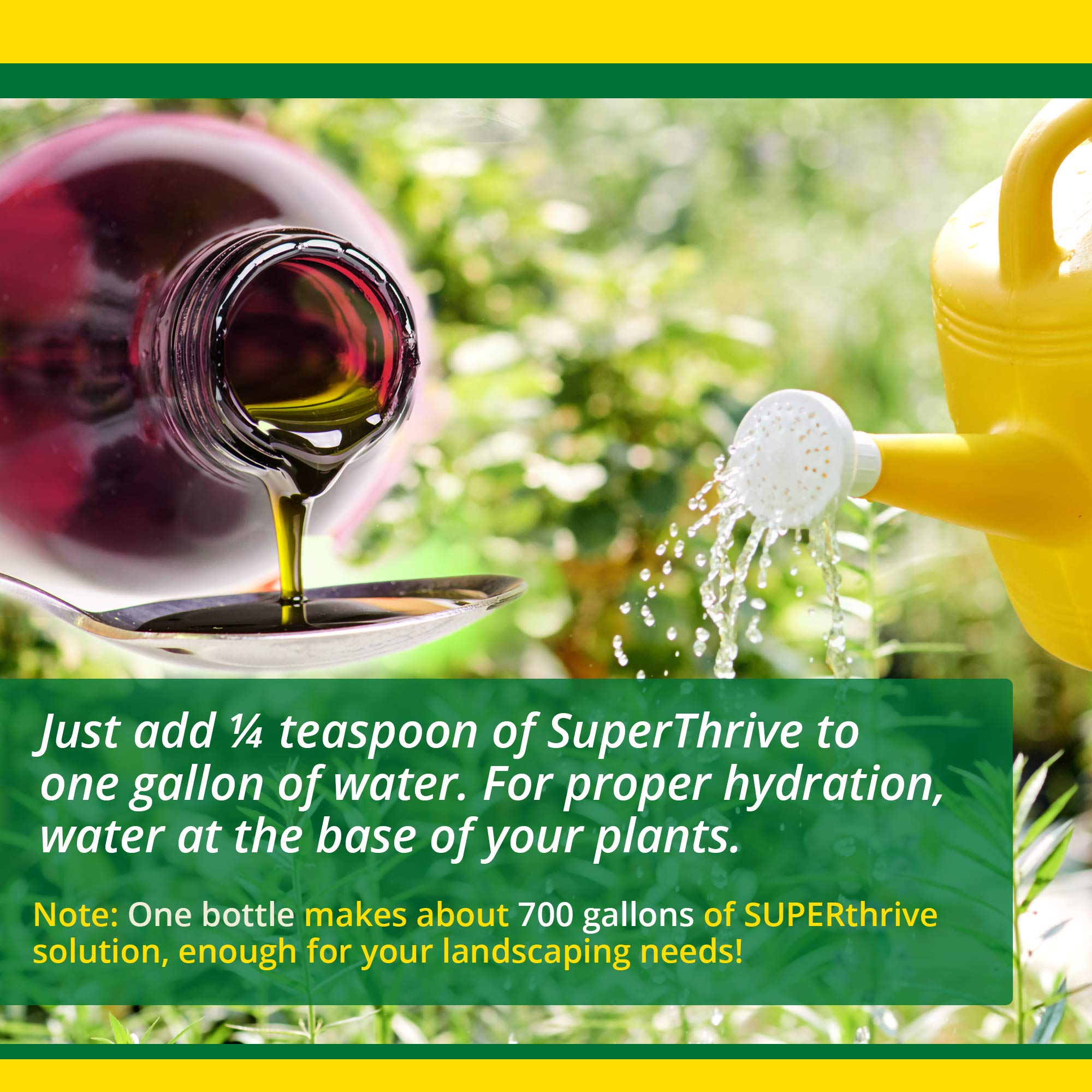 Outdoor seedling bed treated with SUPERthrive for healthier growth.