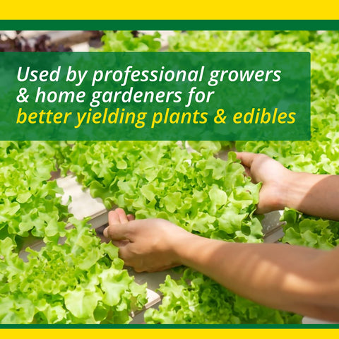 Transplant shock reduction in new and established plants with SUPERthrive.