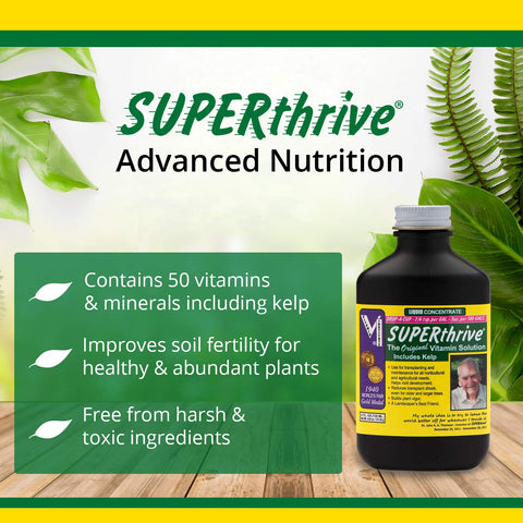 SUPERthrive transplant-shock reduction application supports healthy transplants