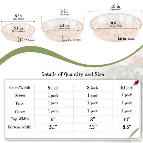 SupKing 10-inch pale pink plant saucer complements large plant setups