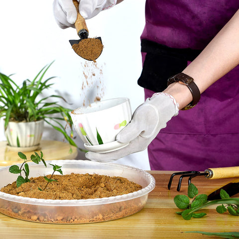 SupKing 12in pack of 2 indicates two sturdy saucers for plant pots and more