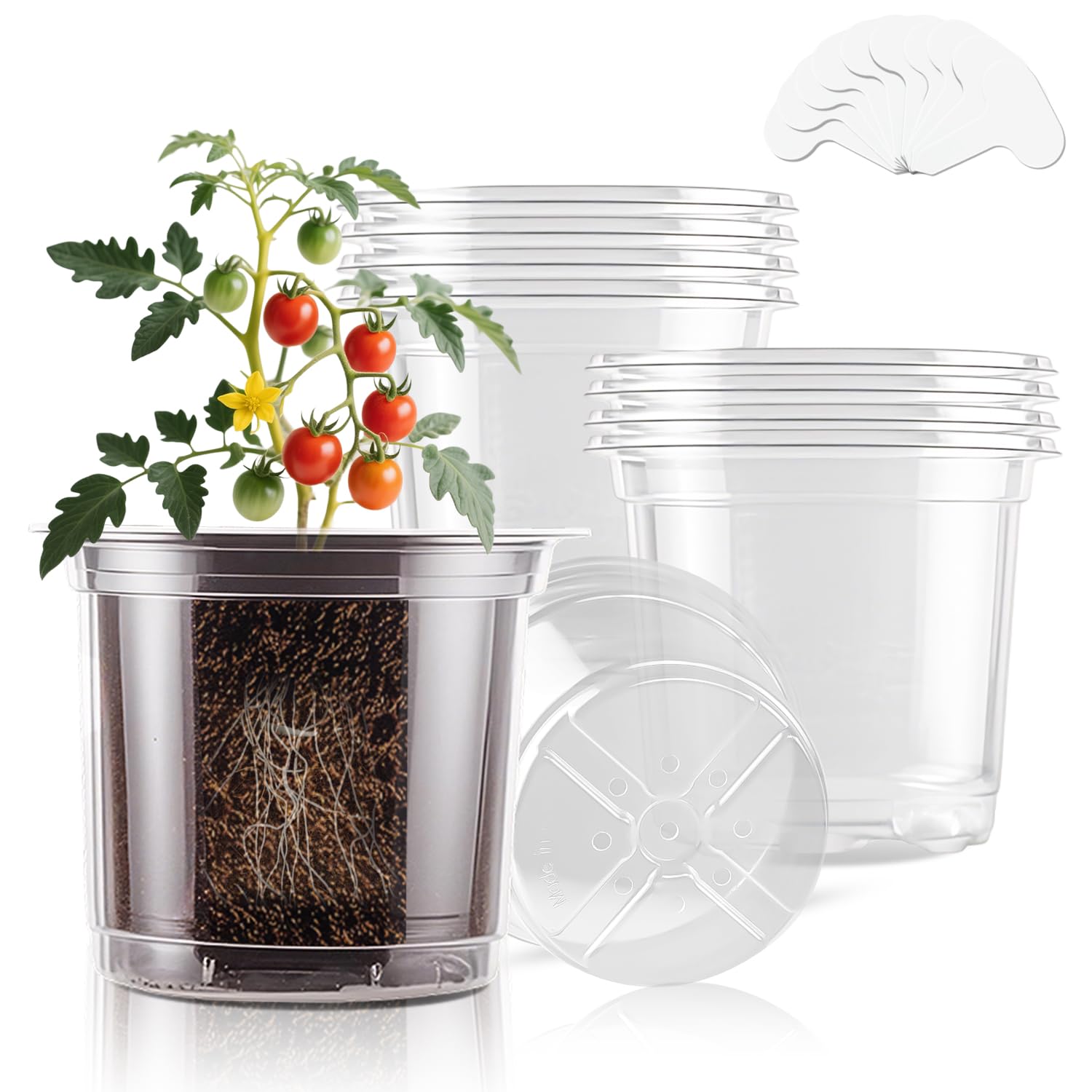 SupKing 5 Inch Clear Plant Pot with transparent walls for easy root observation.