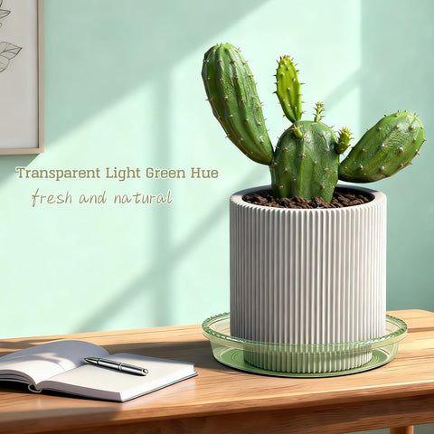 SupKing 6-inch pale pink plant saucer elevates display and airflow
