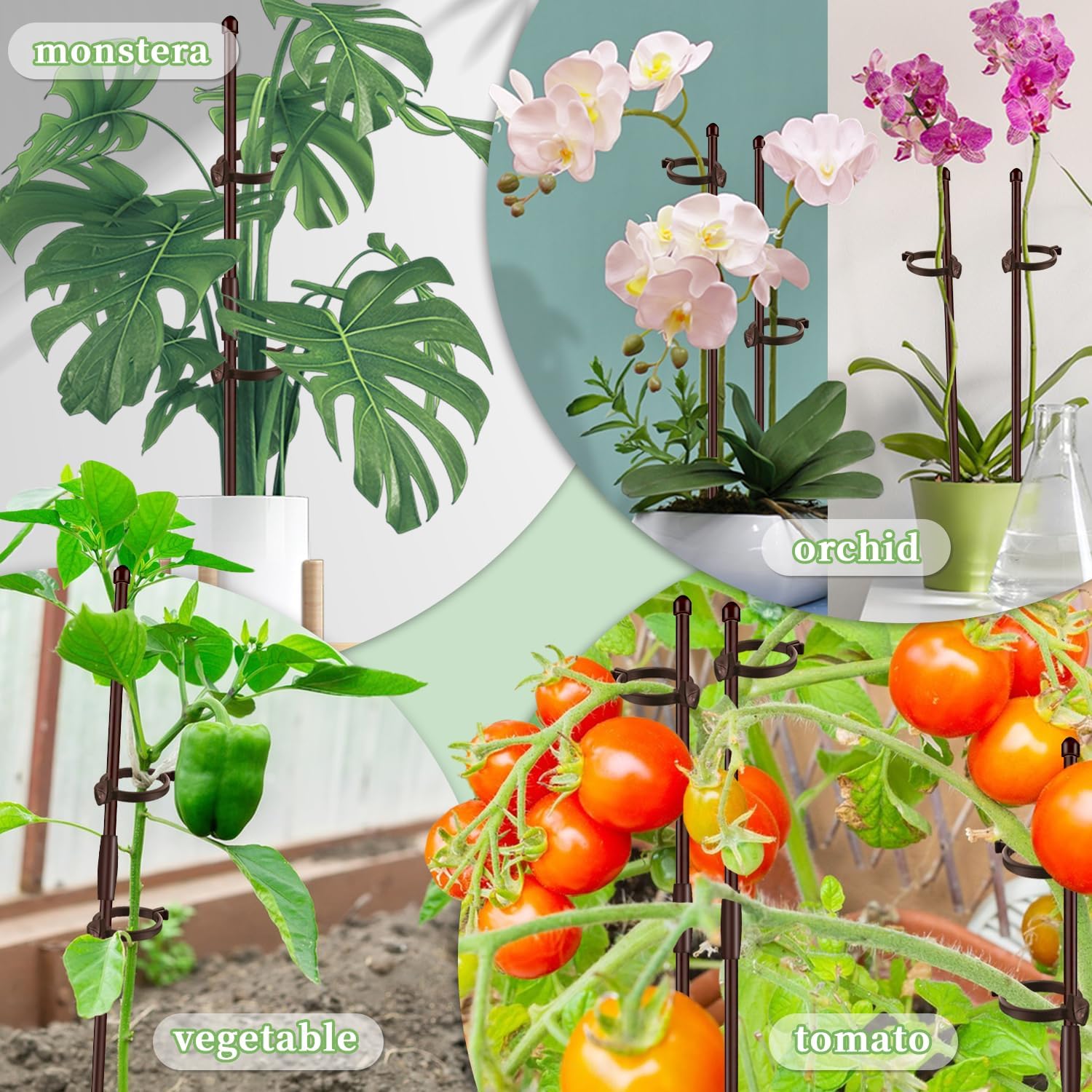 SupKing brown stakes suit both indoor and outdoor garden setups.