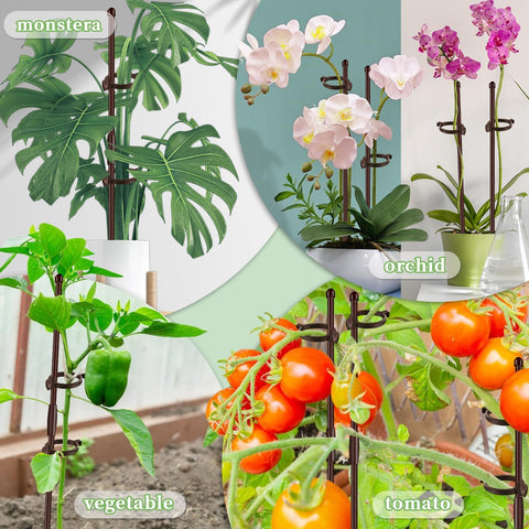 SupKing brown stakes suit both indoor and outdoor garden setups.