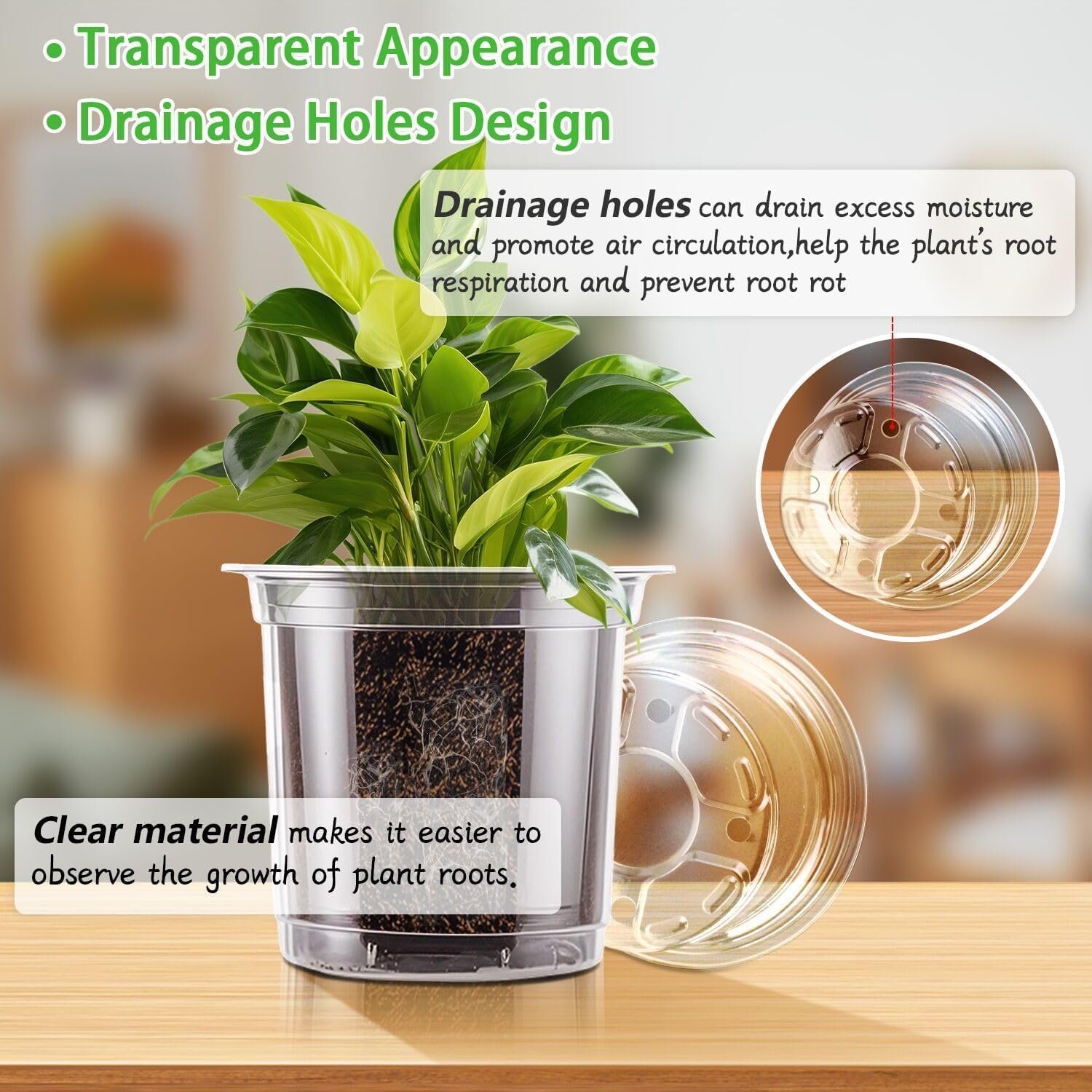 SupKing clear nursery pot 3.5-inch top view demonstrates transparency for root checks