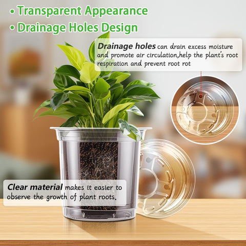 SupKing clear nursery pot 3.5-inch top view demonstrates transparency for root checks