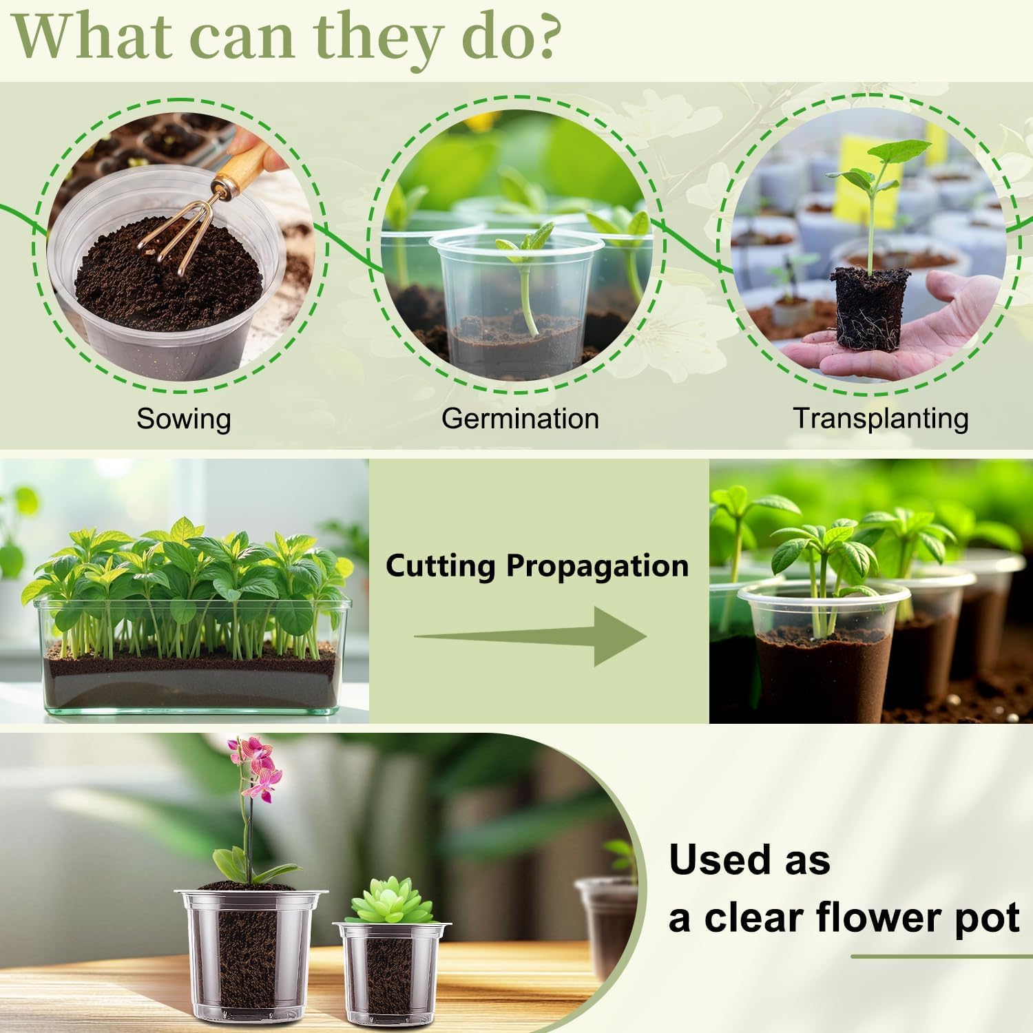 SupKing clear 3.5-inch pot supports starter greens and cuttings in small spaces.