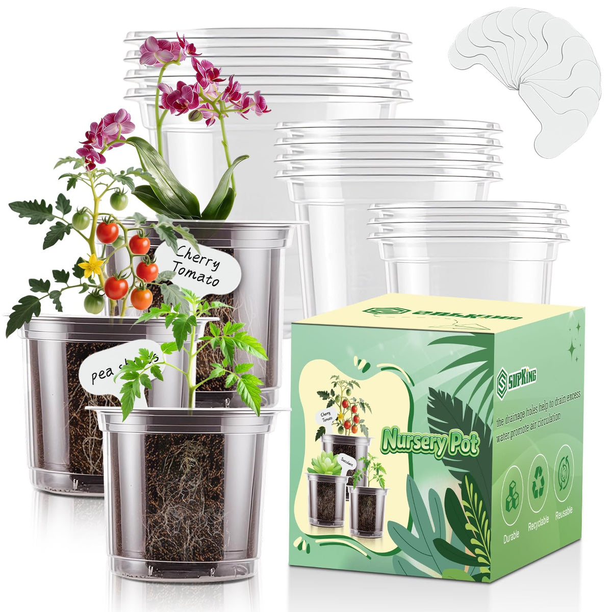 SupKing clear nursery pot 5-inch front view shows easy transplanting design