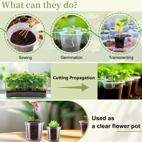 SupKing heat-mat compatible pots for warm propagation environments.