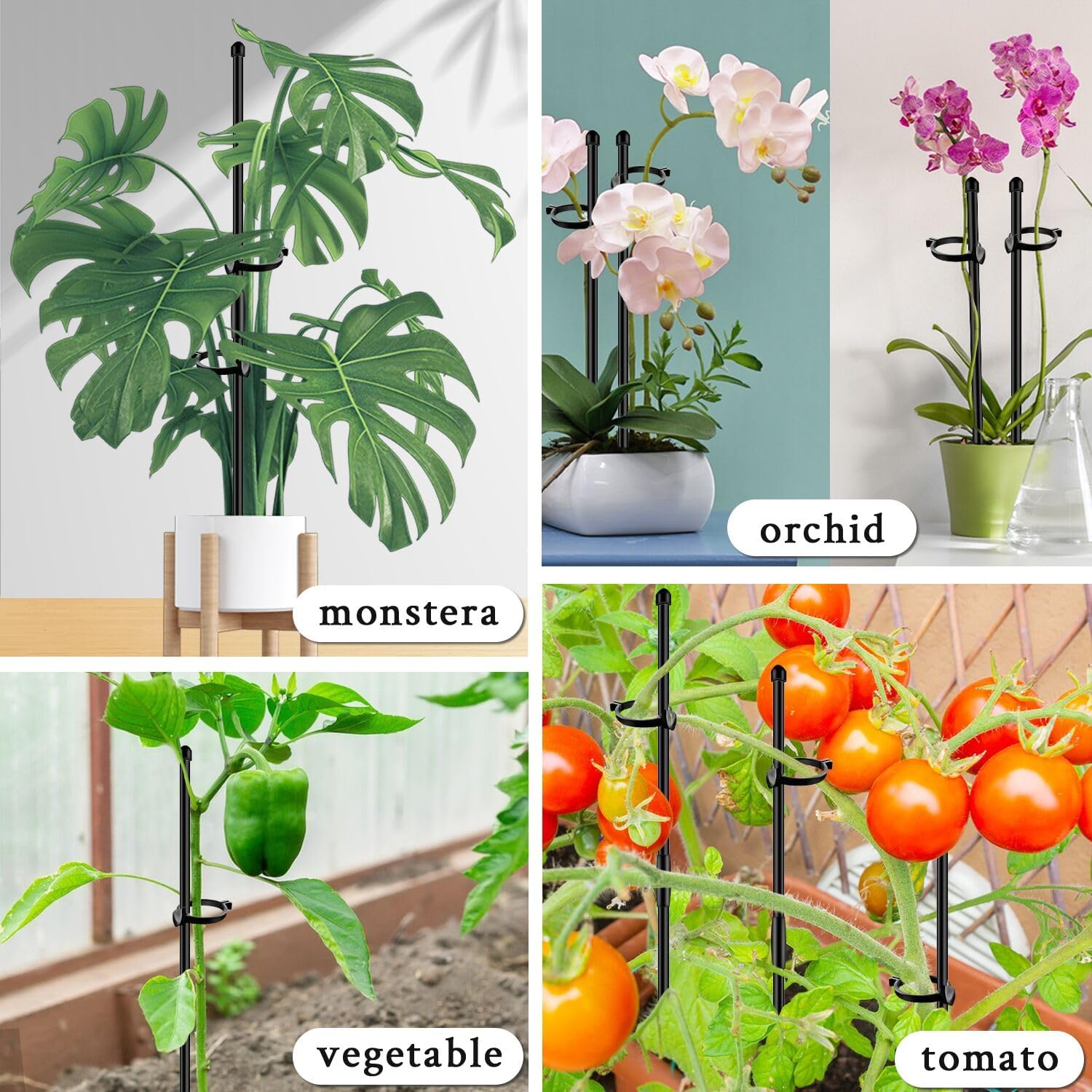 SupKing indoor outdoor plant support ideal for vegetables, orchids and more
