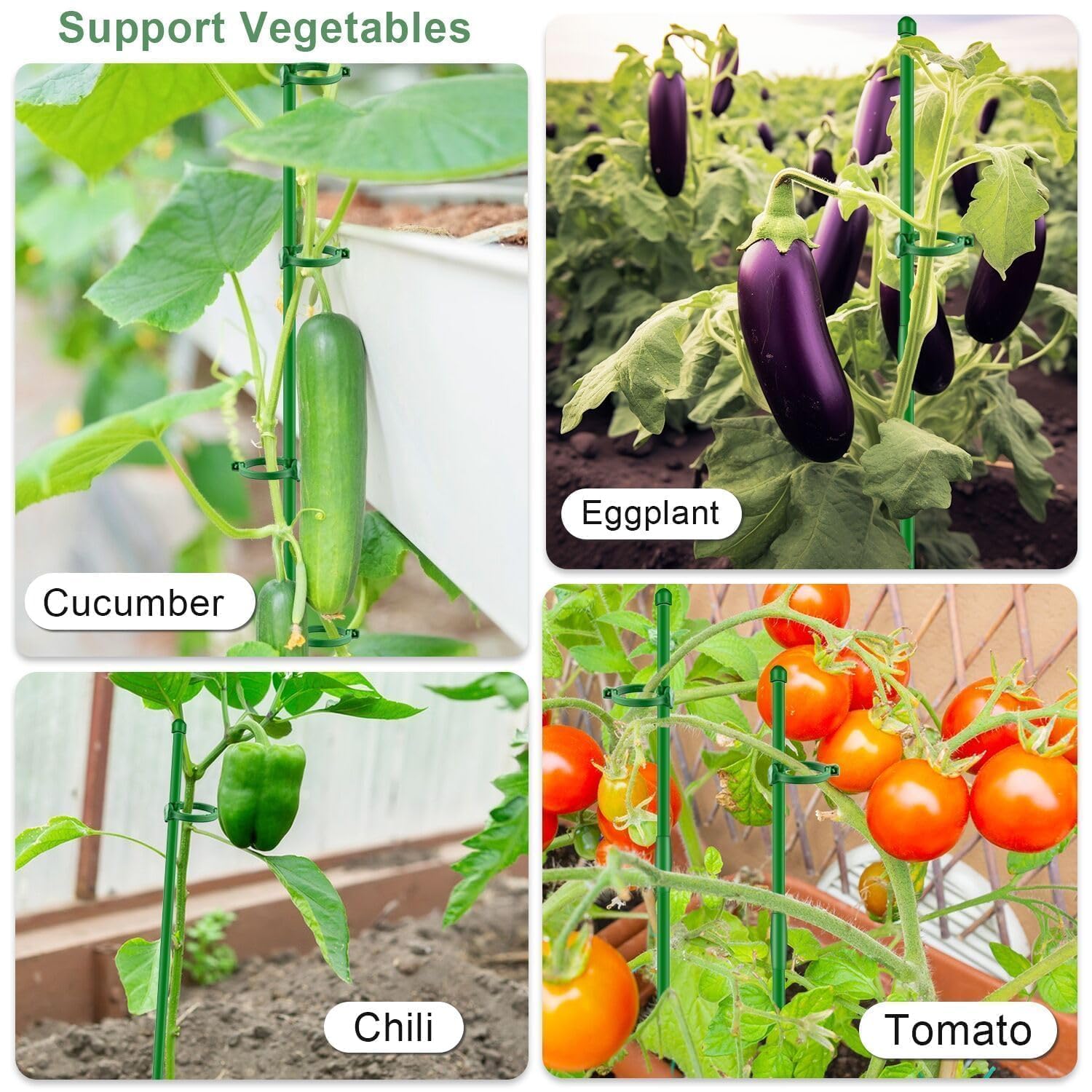 SupKing plant poles for indoor and outdoor use support tomatoes roses and vegetables