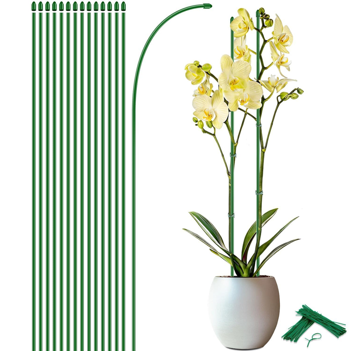 SupKing orchid stakes 17.7 inch green pole supports indoor plants discreetly.