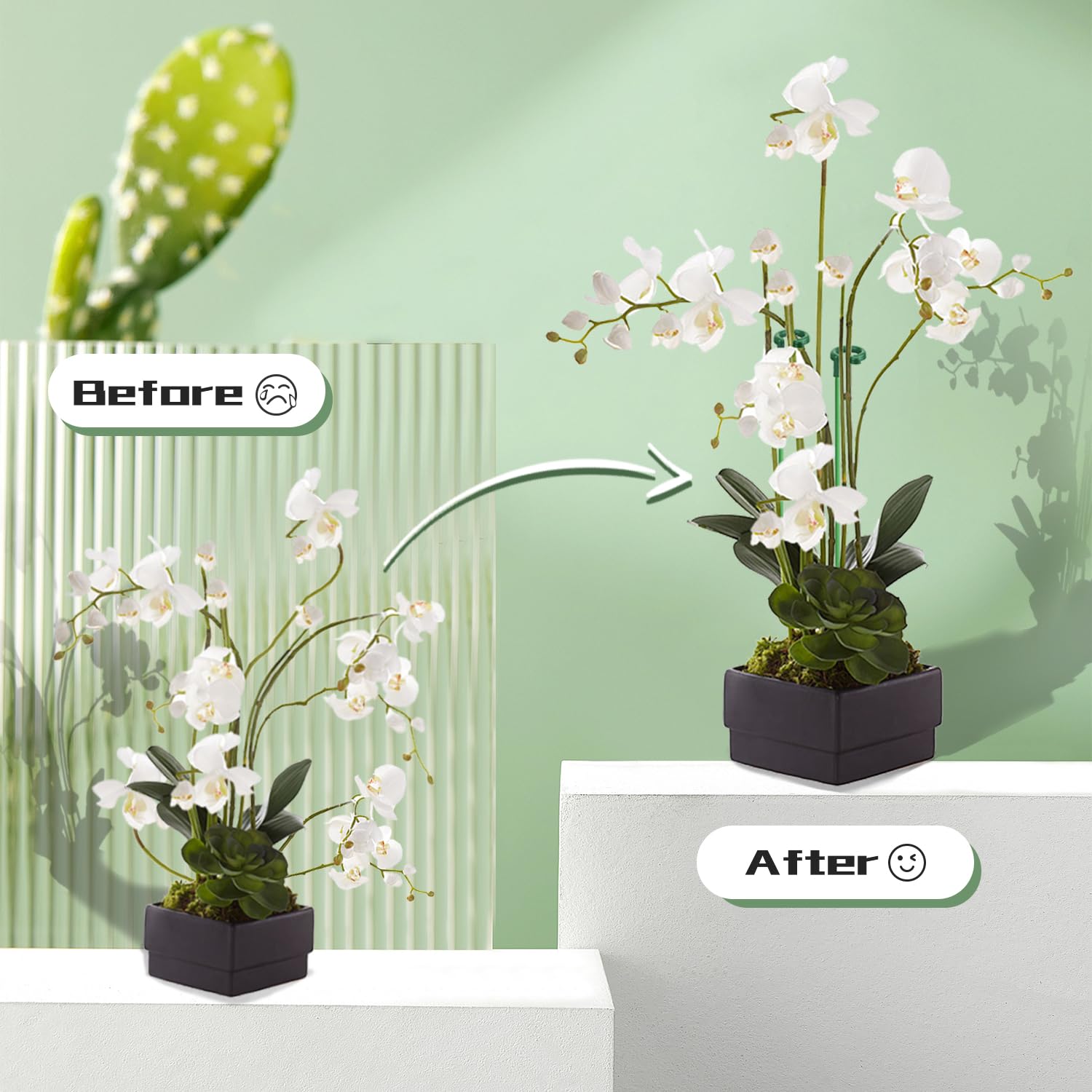 SupKing orchid stakes with clips provide secure, discreet plant support.
