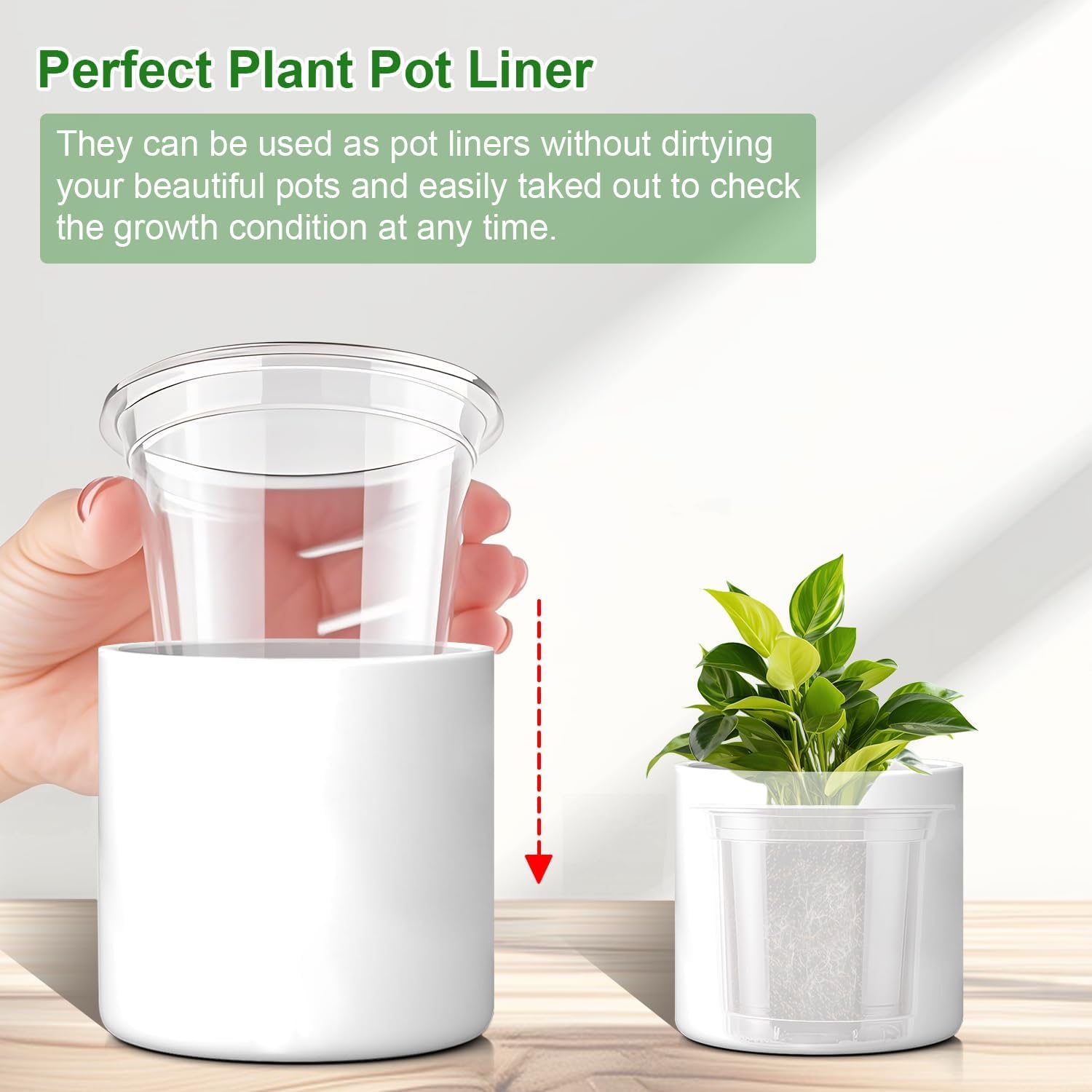 SupKing orchid and succulent pots suited for small plants and propagation.