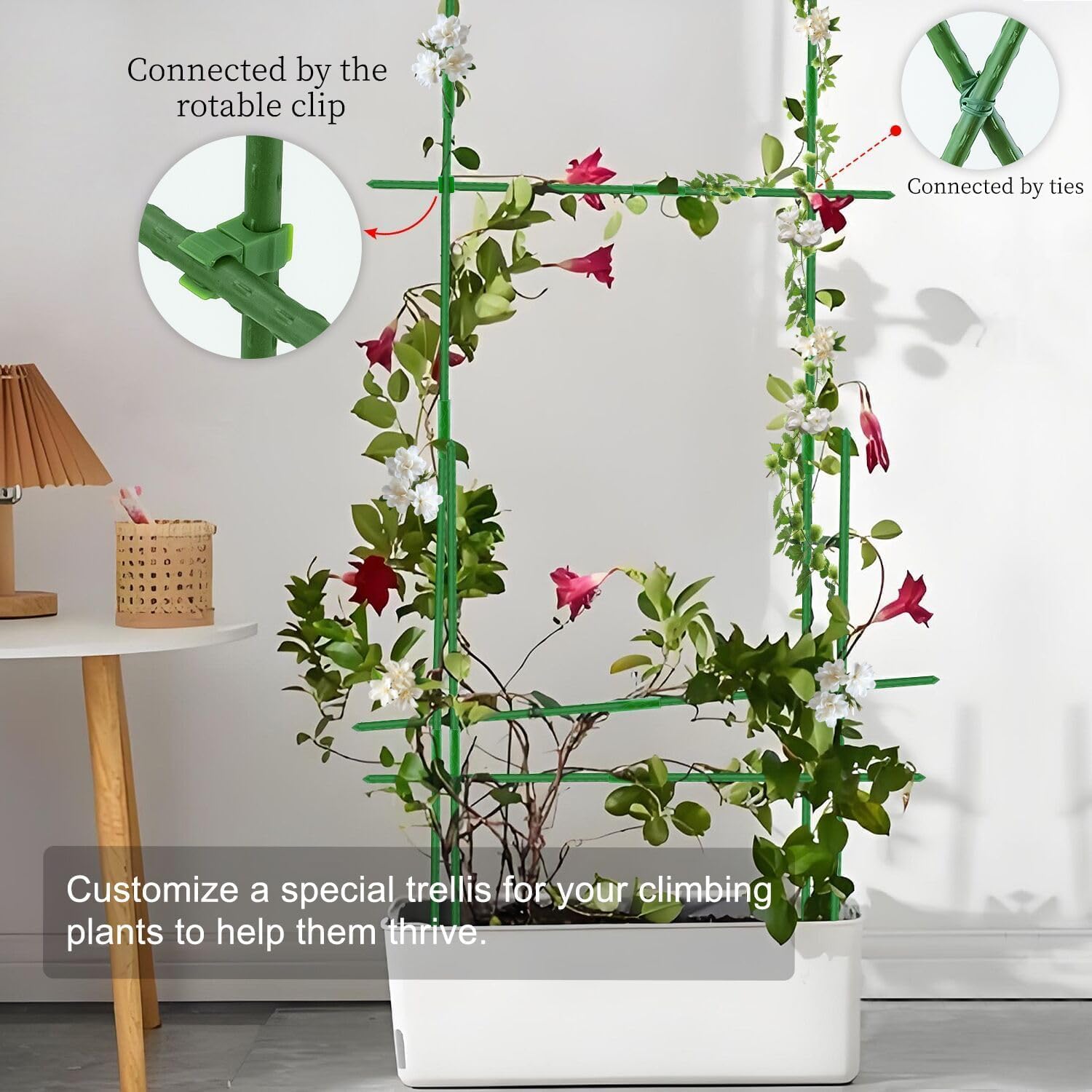 SupKing garden scene showing tidy trellis setup with climbing plants.