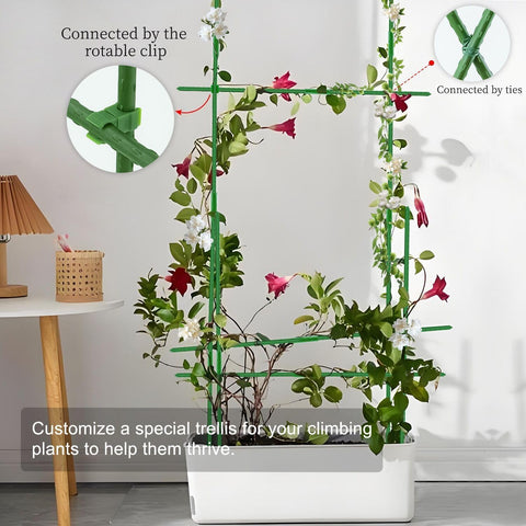 SupKing garden scene showing tidy trellis setup with climbing plants.