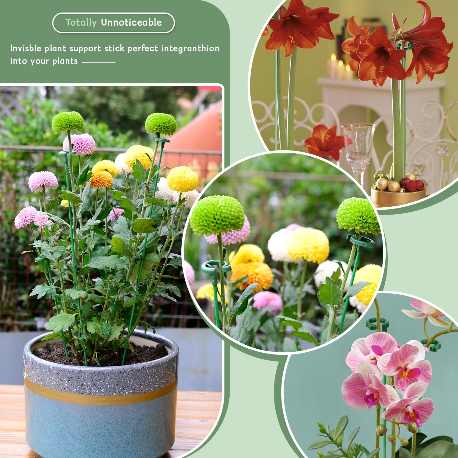 SupKing packaging with clear instructions for adjustable plant support.