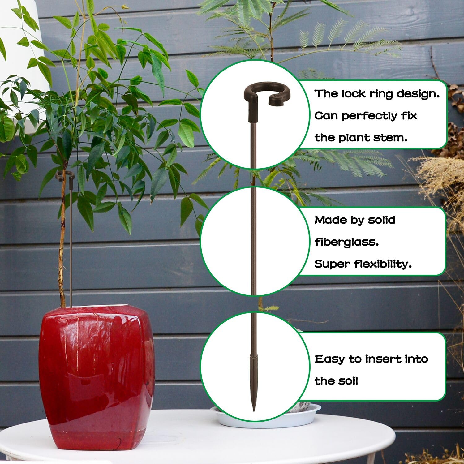 SupKing plant stake clips secure stems while staying visually unobtrusive.
