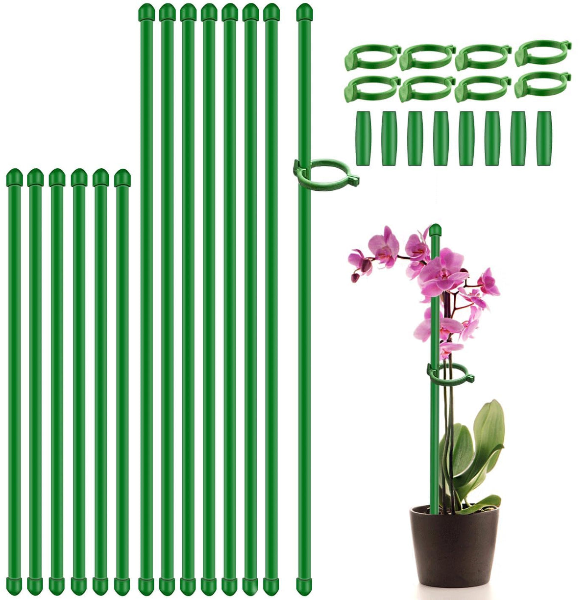SupKing plant stakes with 17 and 11 inch lengths provide sturdy garden support.