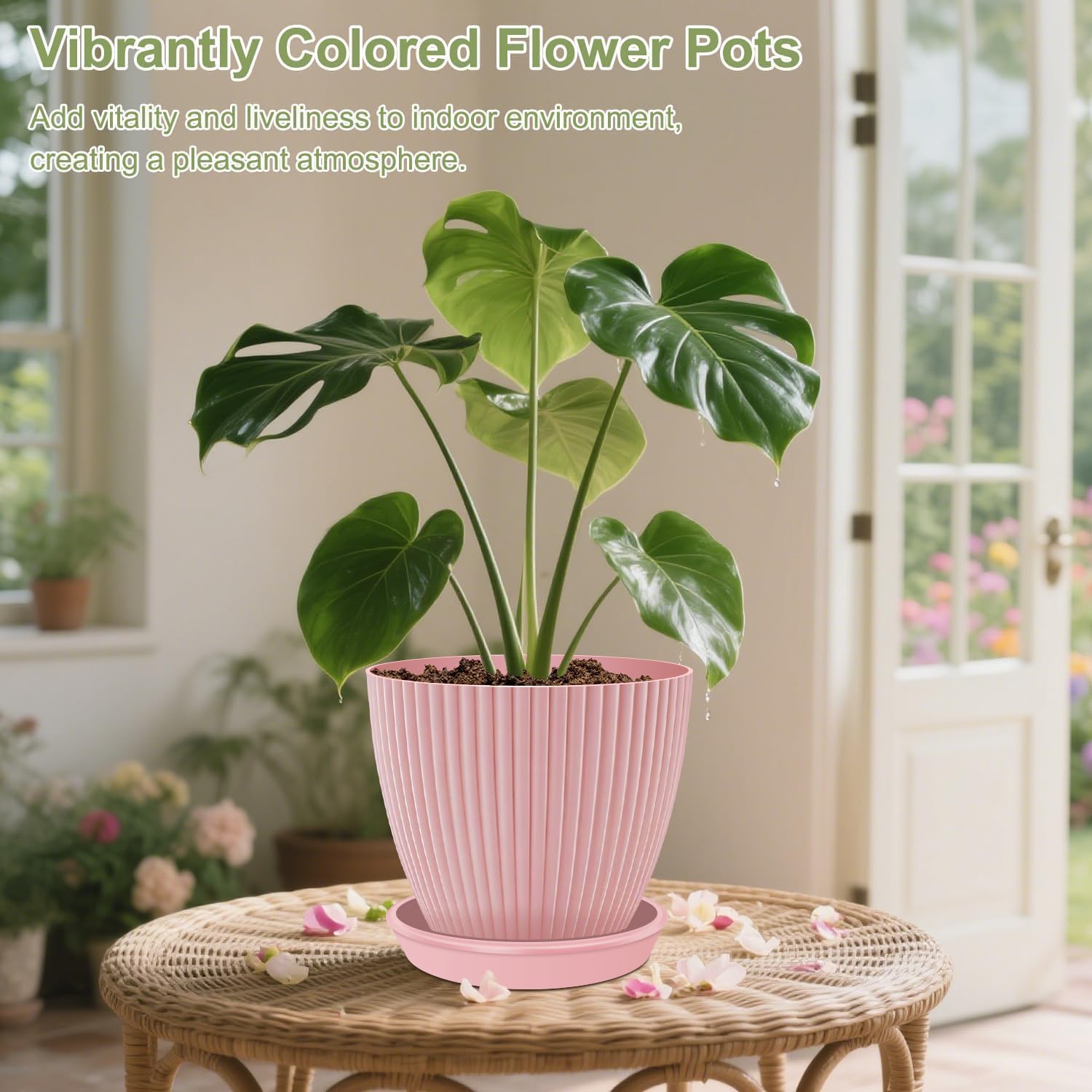 SupKing lake blue 3.5-inch planter with drip tray, great for mini succulents.