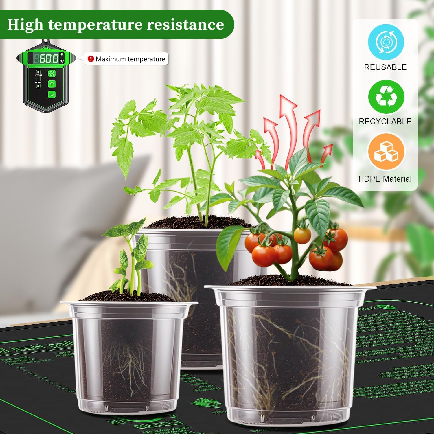 SupKing pot with drainage holes promotes air circulation and healthy roots.