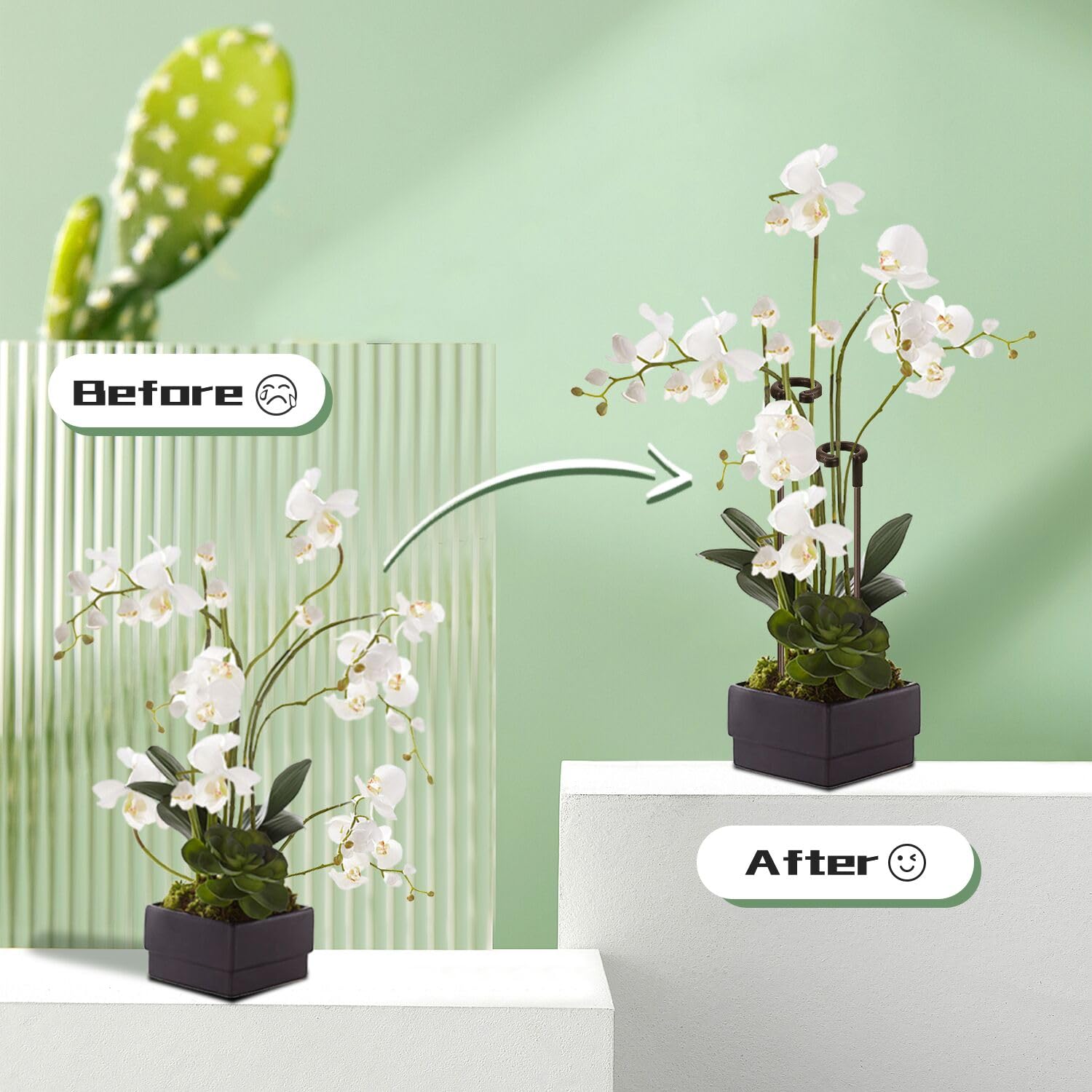 SupKing potted-plant support setup suits orchids, peonies, and small roses.