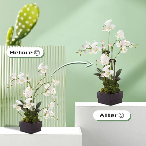 SupKing potted-plant support setup suits orchids, peonies, and small roses.