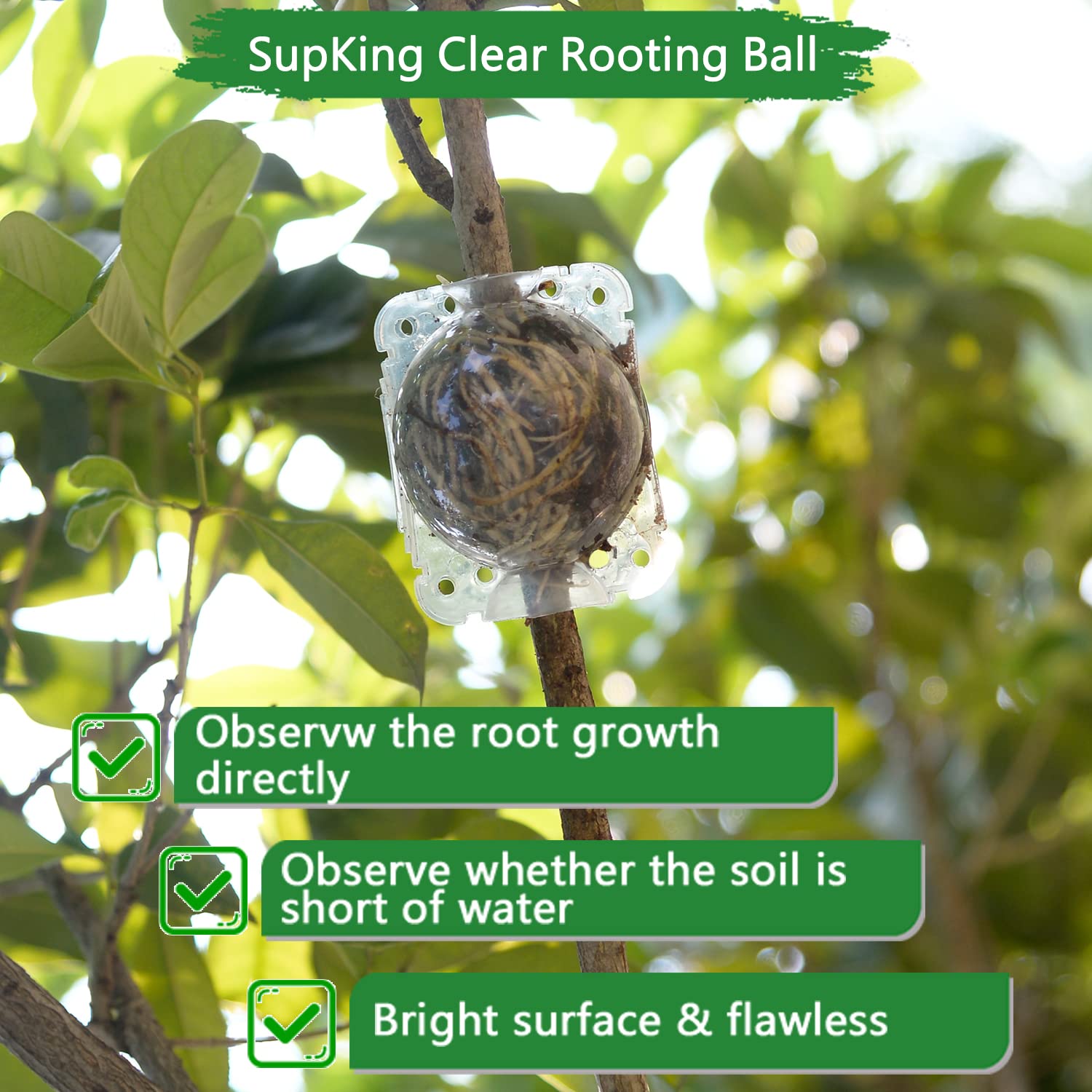 SupKing propagation device on branch demonstrates minimal disturbance to the plant