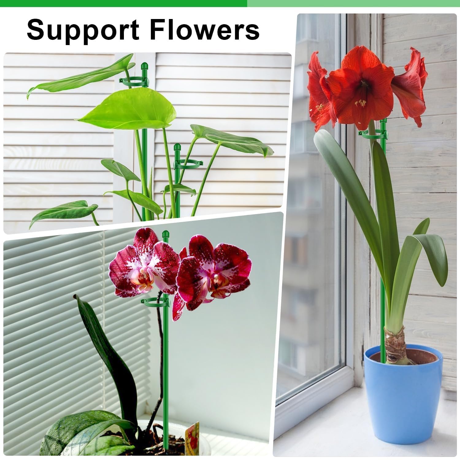 Reusable, durable orchid stakes for long-term garden projects.