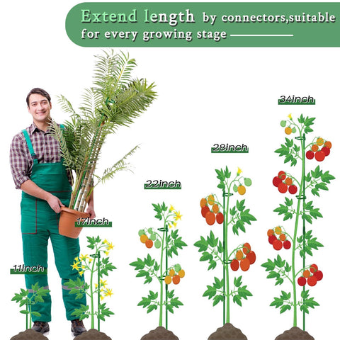 SupKing ring buckle design enables secure, adjustable plant support.