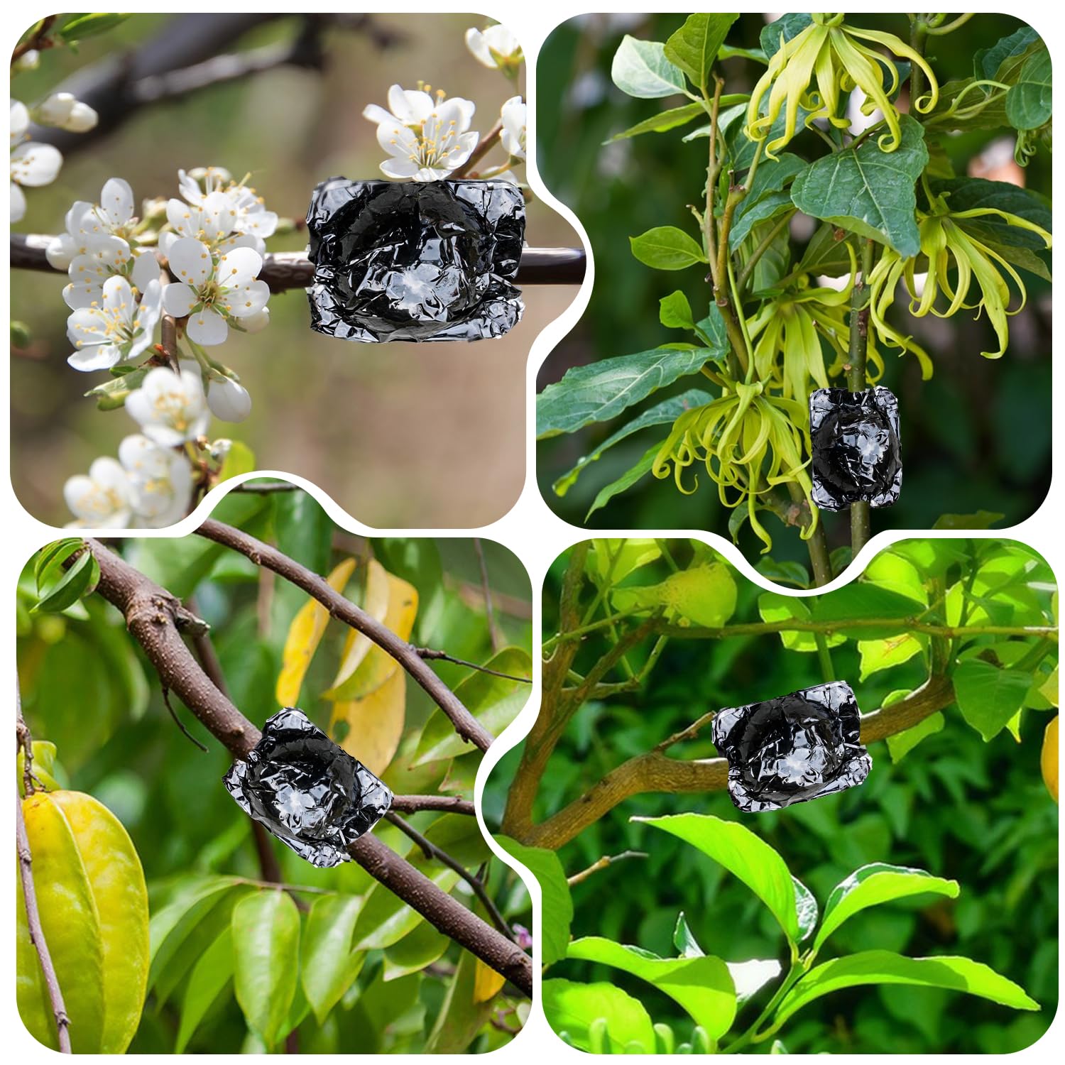 SupKing pods suit roses, magnolias, and climbers for versatile propagation.