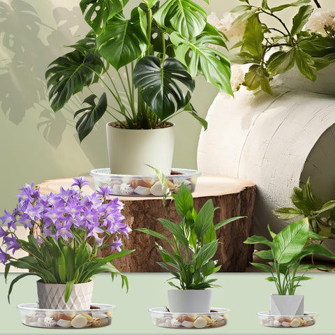 SupKing indoor-outdoor friendly saucers, weather-resistant and odorless.