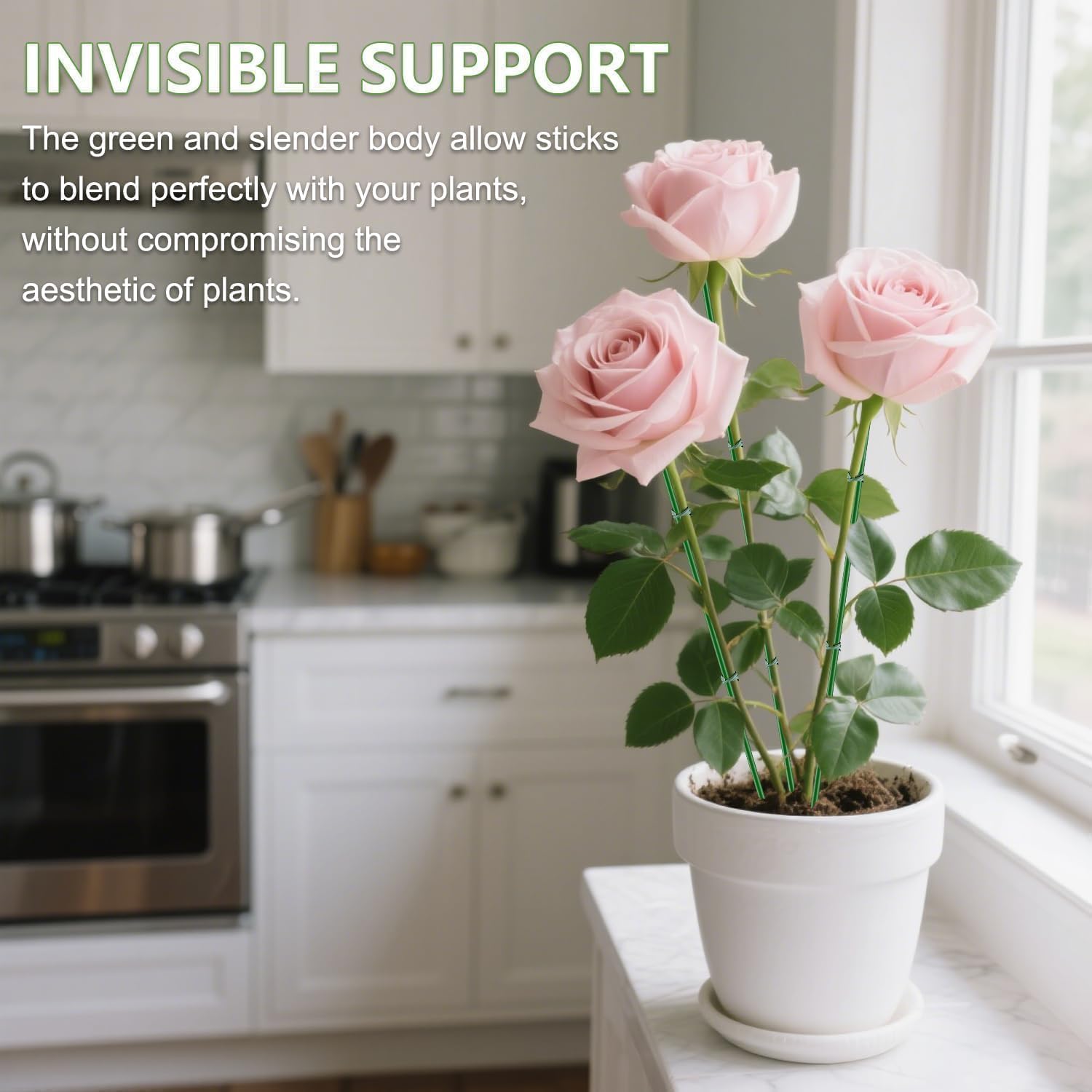 SupKing small-plants-support ideal for indoor and outdoor pots.
