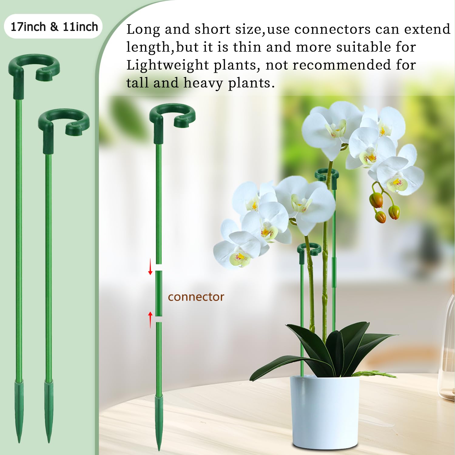 SupKing stakes set shown in pot helps orchids stay upright.