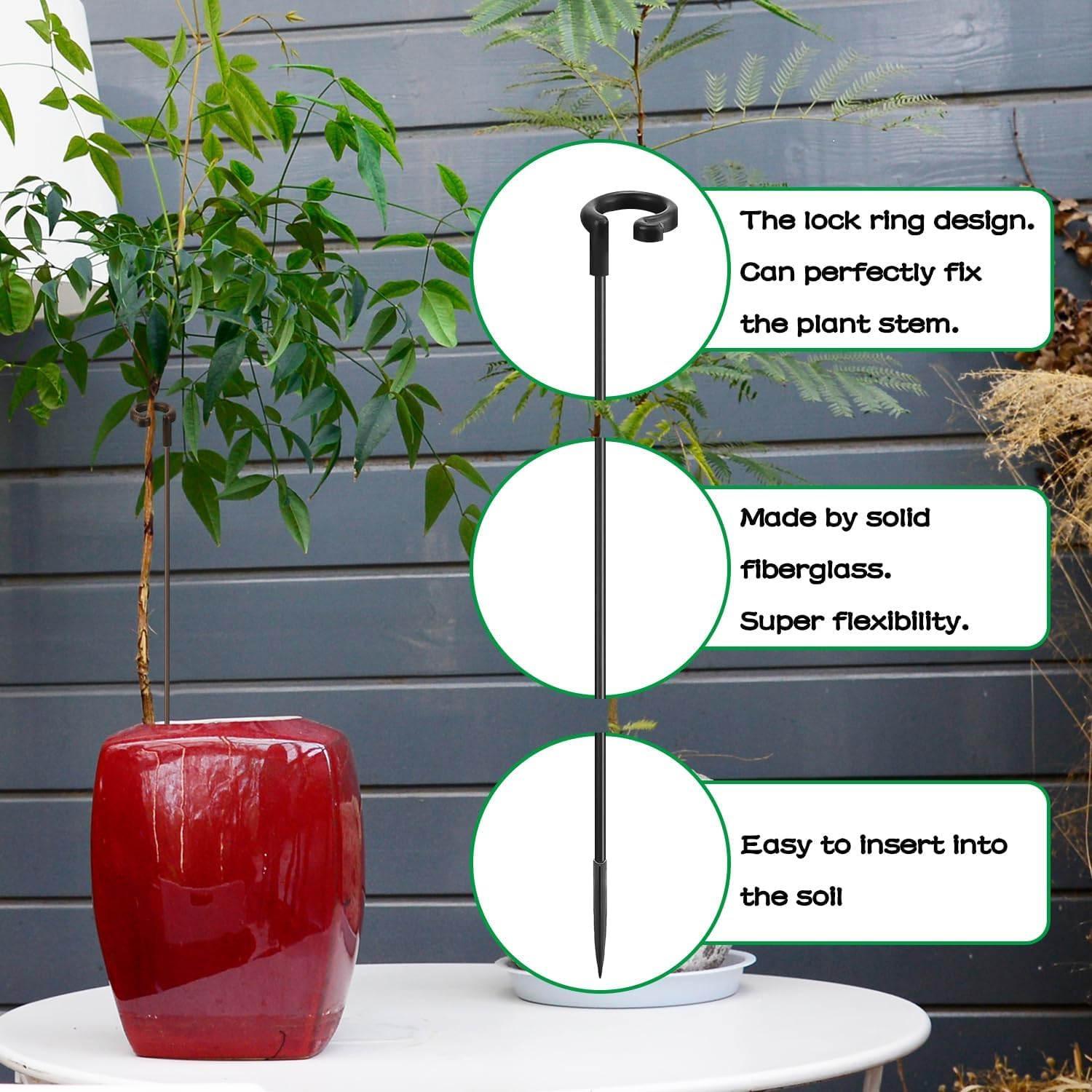 SupKing stakes with clips demonstrate secure ring attachment for neat plant training