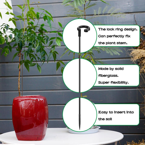 SupKing stakes with clips demonstrate secure ring attachment for neat plant training